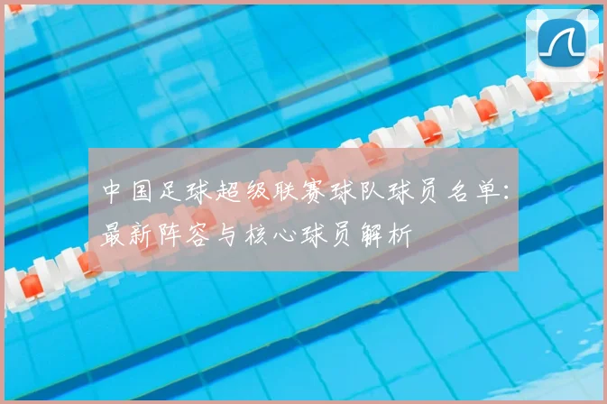 中国足球超级联赛球队球员名单:最新阵容与核心球员解析